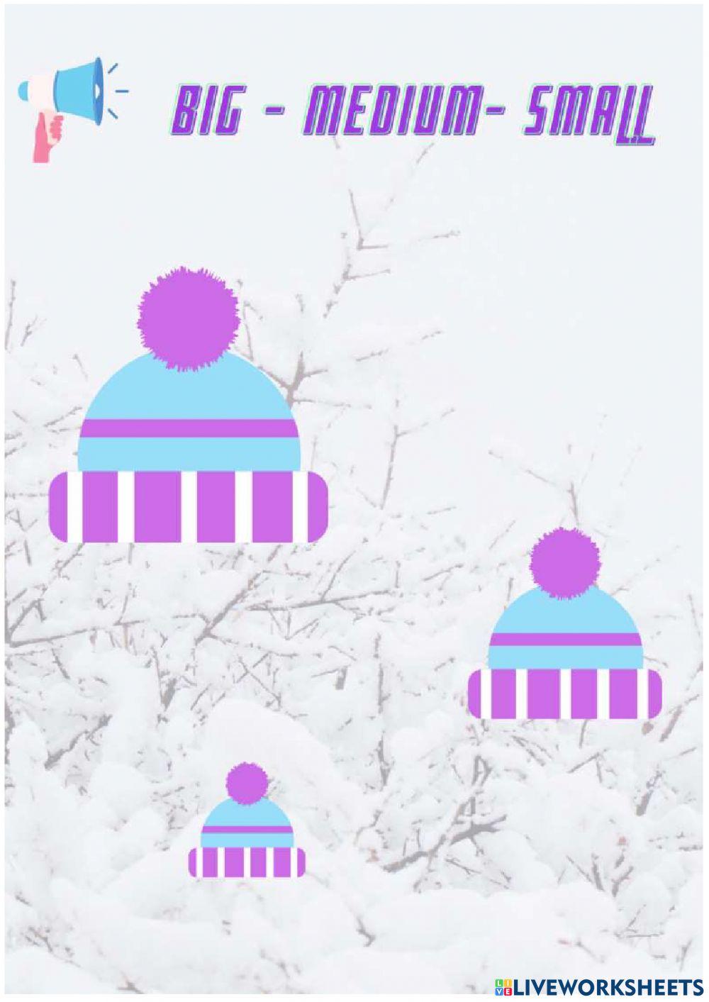 Big - medium - … | Free Interactive Worksheets | 741945