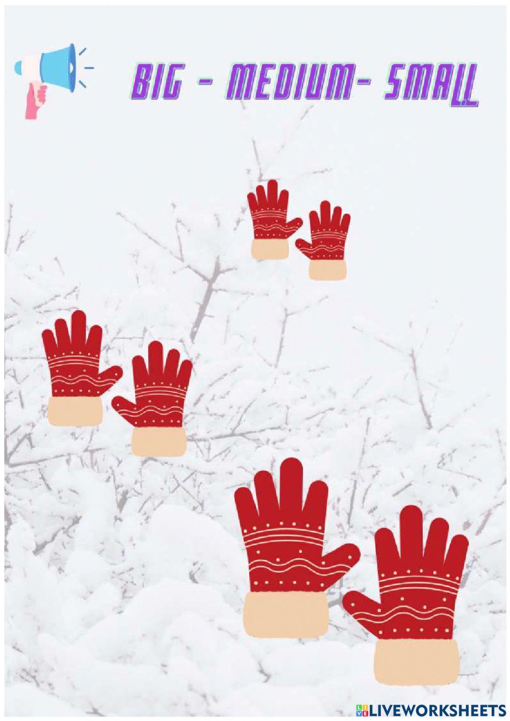 Big - medium - … | Free Interactive Worksheets | 741945