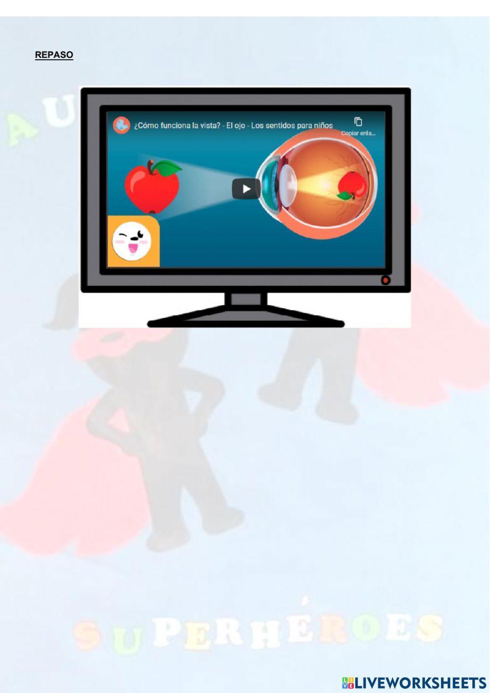 El sentido de la vista