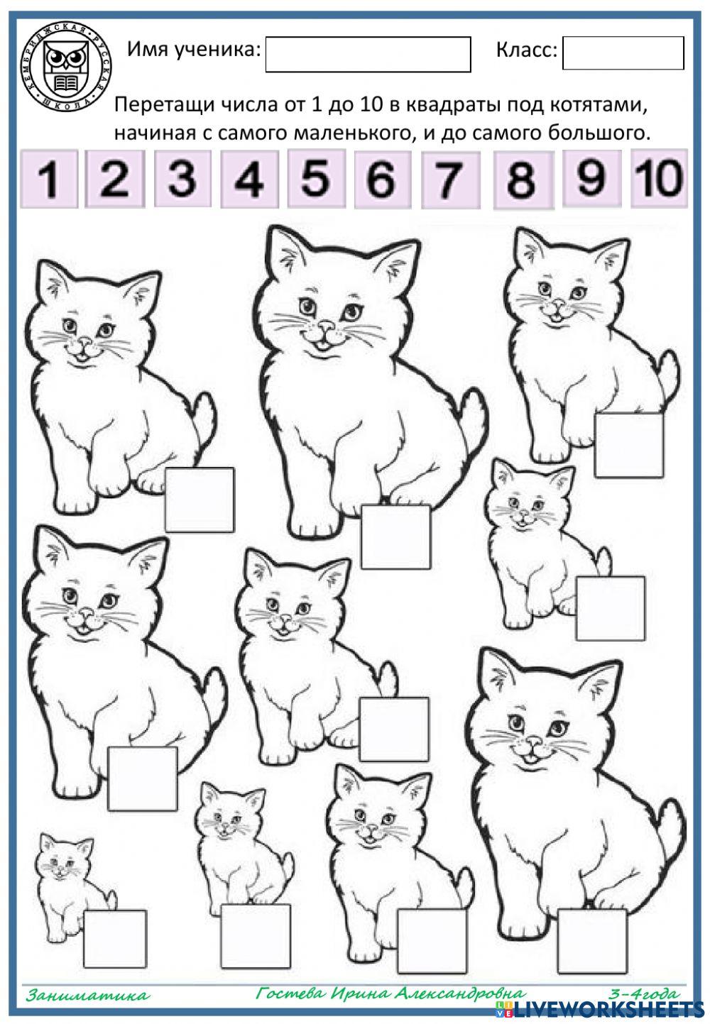 Какой котенок самый-самый? worksheet | Live Worksheets