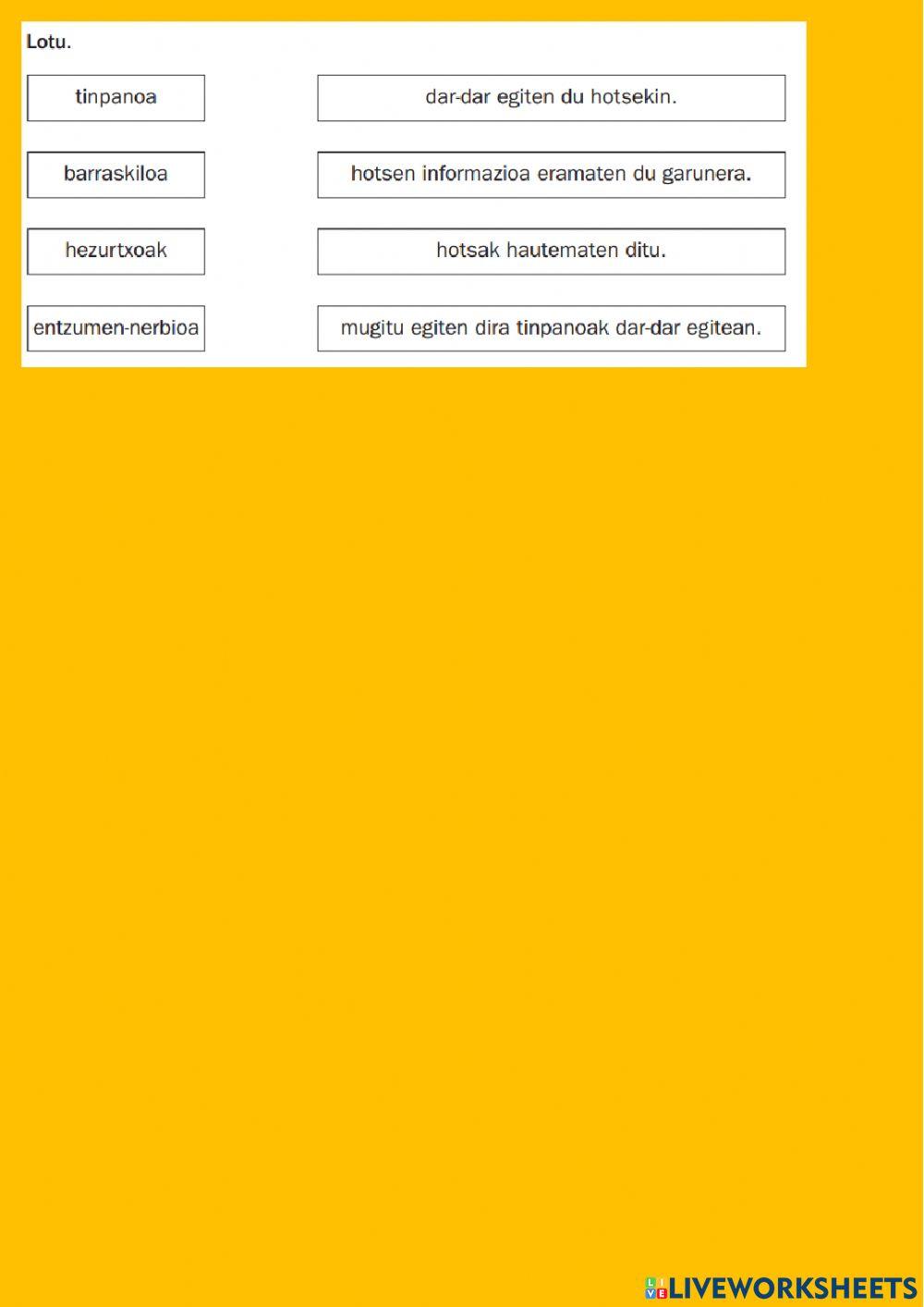 Belarria eta entzumena