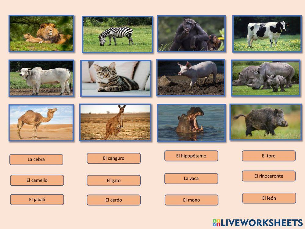 Animales de la Tierra 