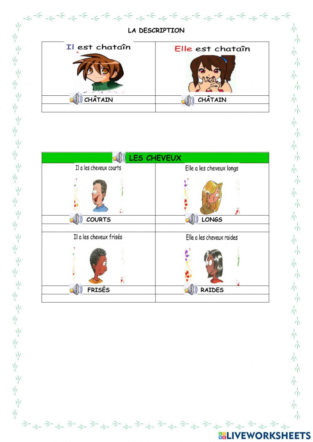 La description physique