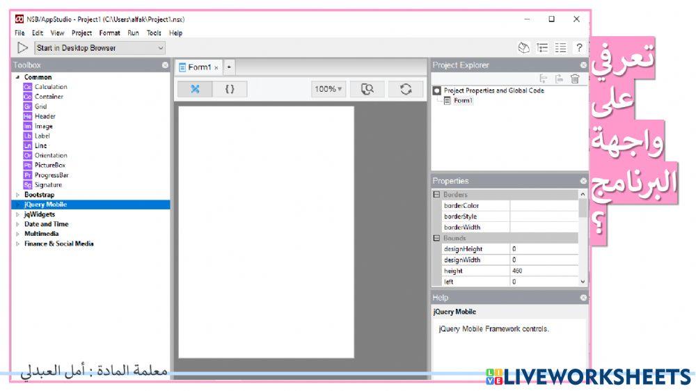 التعرف على بيئة العمل nsb