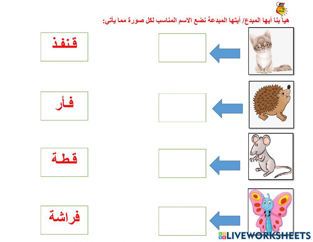 أوراق متنوعة ف - ق