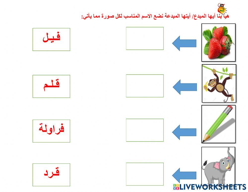 أوراق متنوعة ف - ق