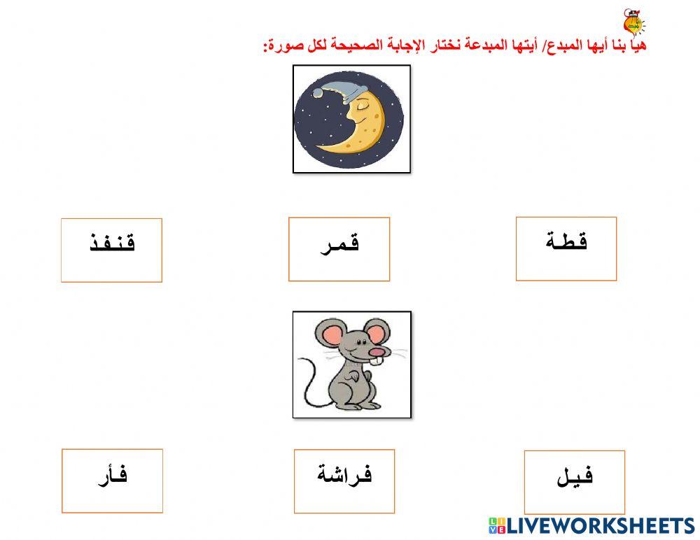 أوراق متنوعة ف - ق
