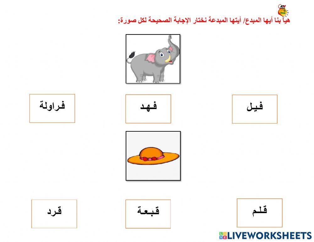 أوراق متنوعة ف - ق
