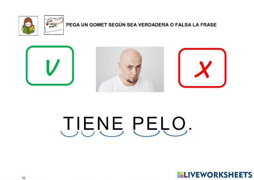 VERDADERO O FALSO (Lectura de frases)