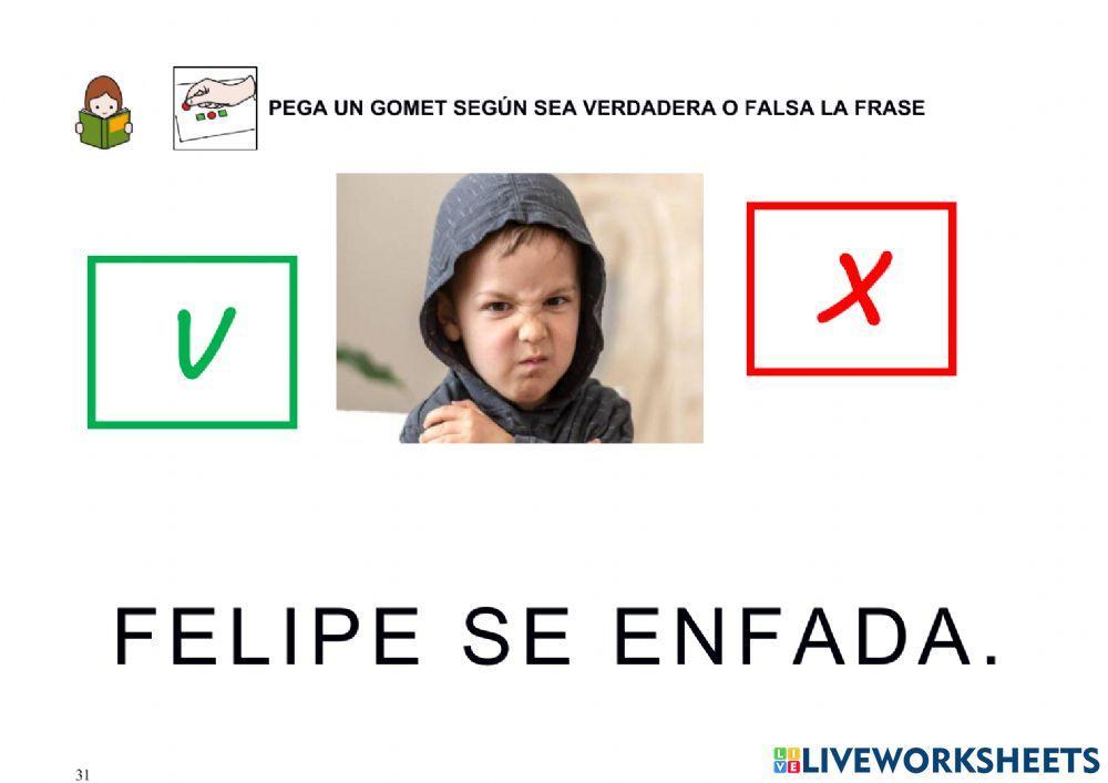 VERDADERO O FALSO (Lectura de frases)