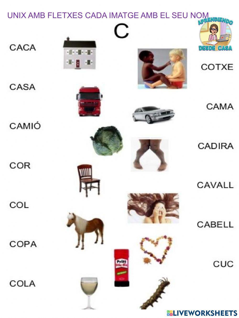 Llegir i unir paraules i fotos