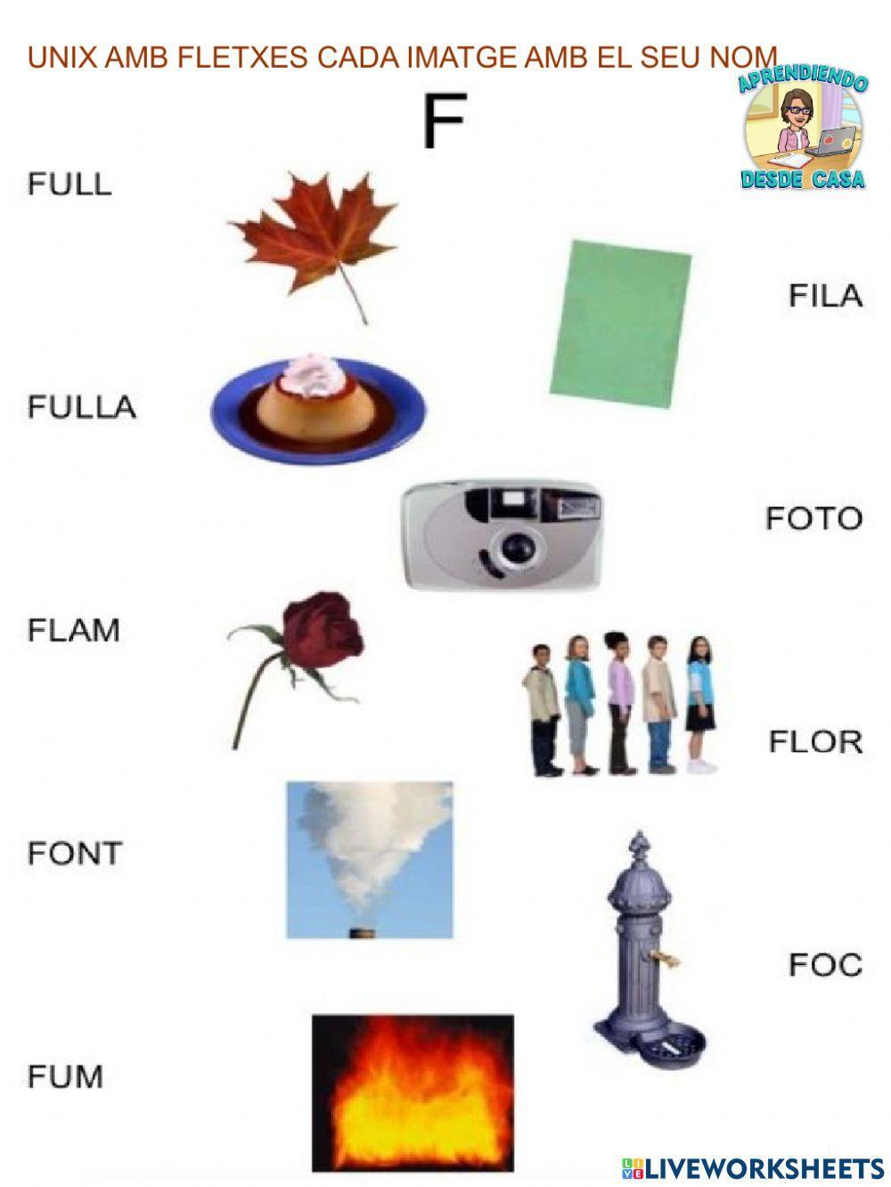 Llegir i unir paraules i fotos