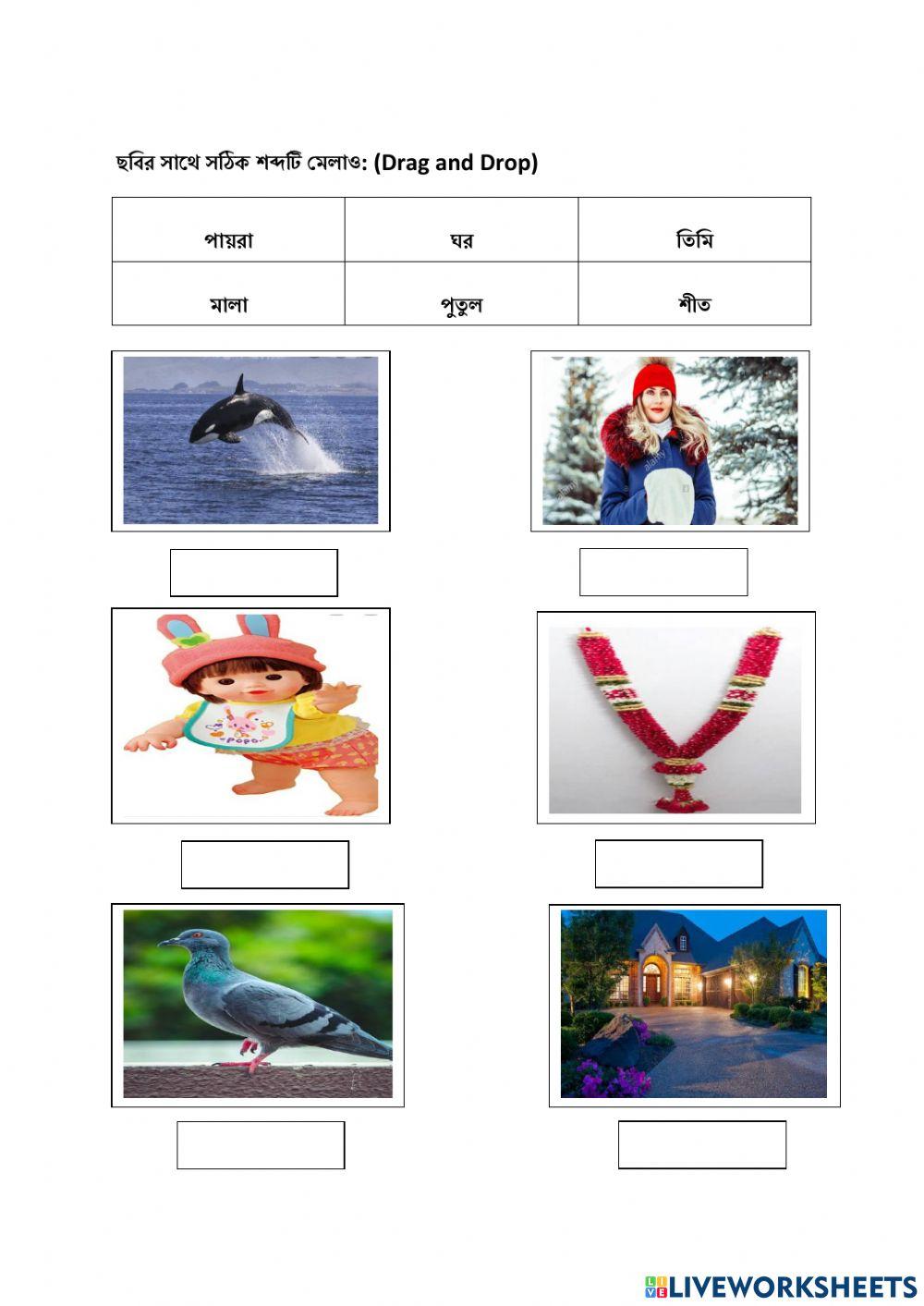 মিলিয়ে লেখ: