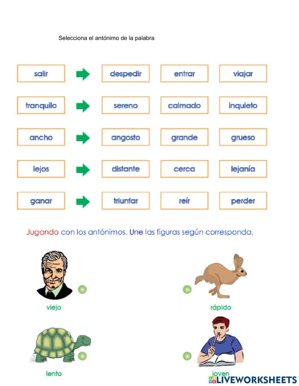 Los sinónimos y antónimos