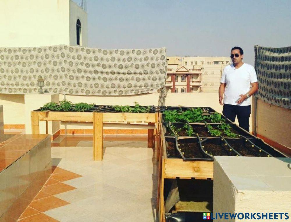 شروط زرع النبات والبيئة المناسبة