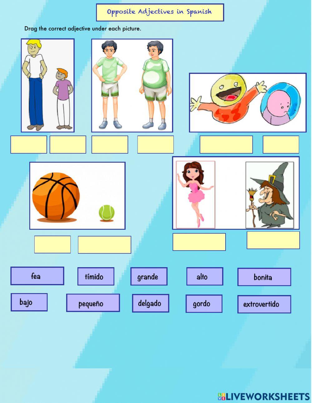 Las Palabras Opuestas