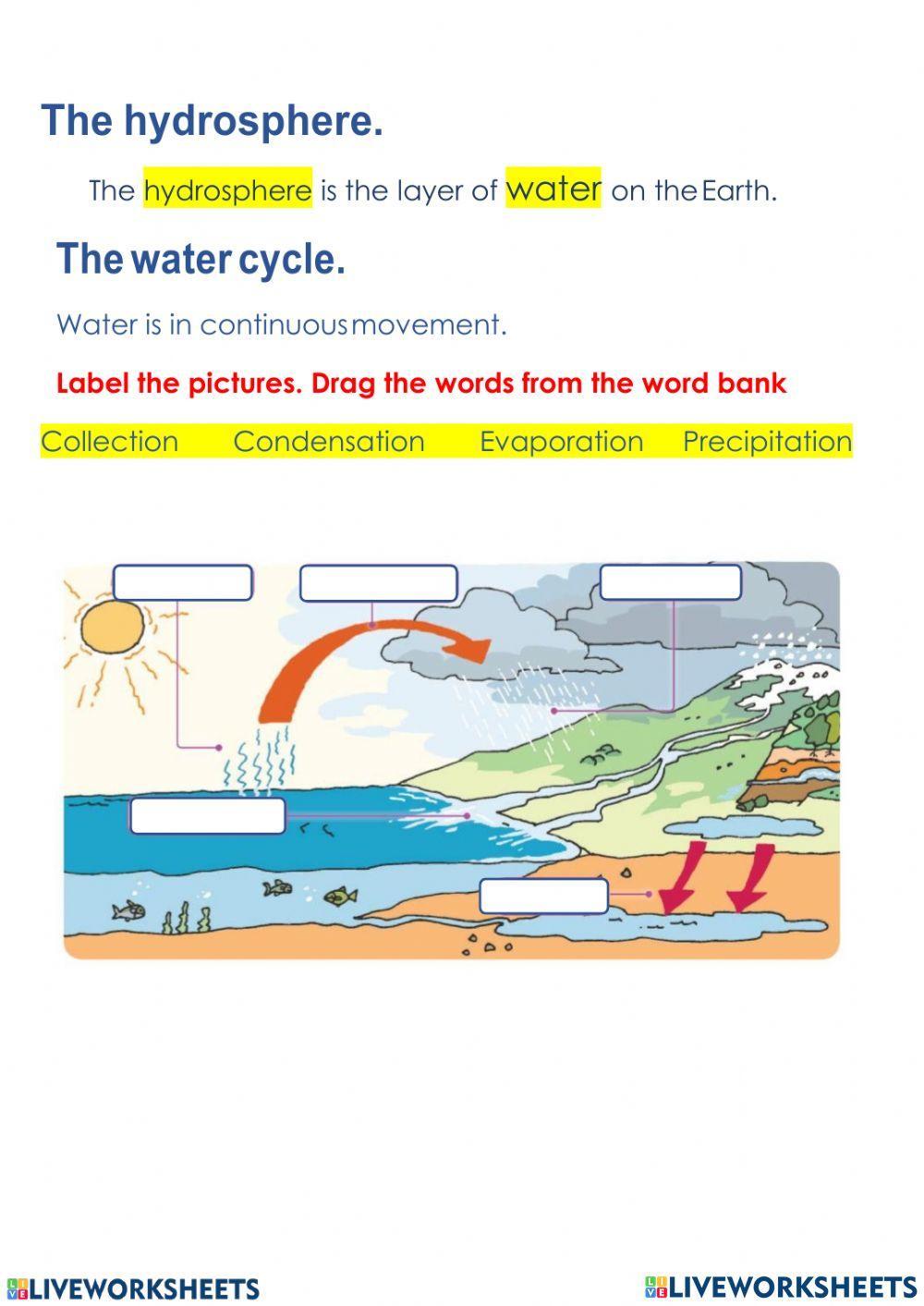the-hydrosphere-744750-cpermitg3b-liveworksheets