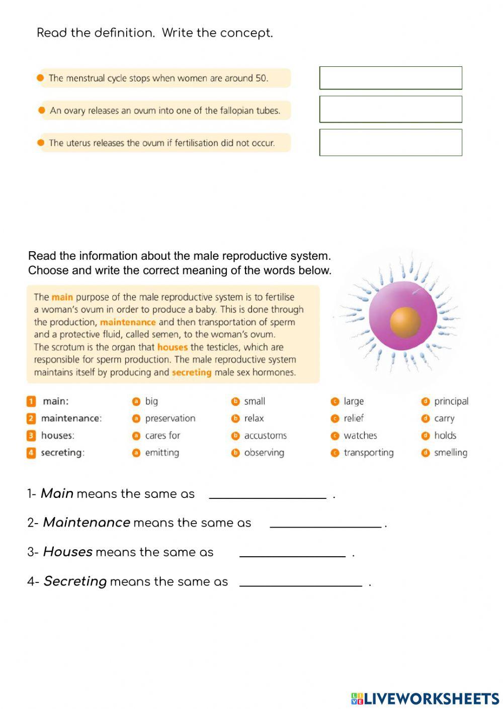 Human Reproduction Live Worksheets
