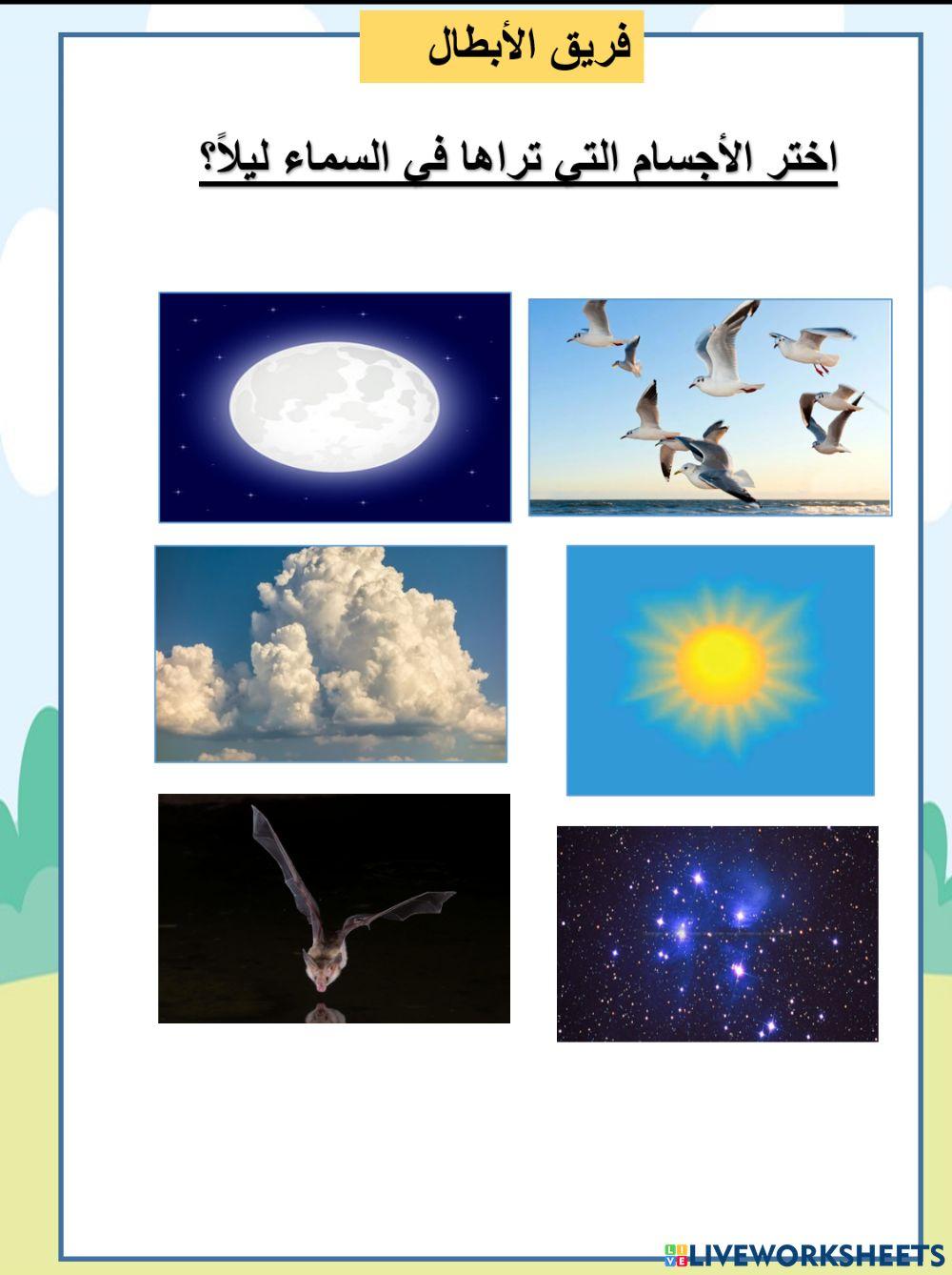 الابطال سماء