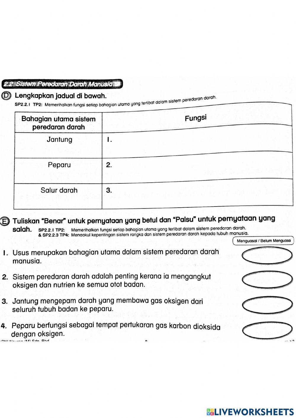 Sistem Peredaran Darah Manusia