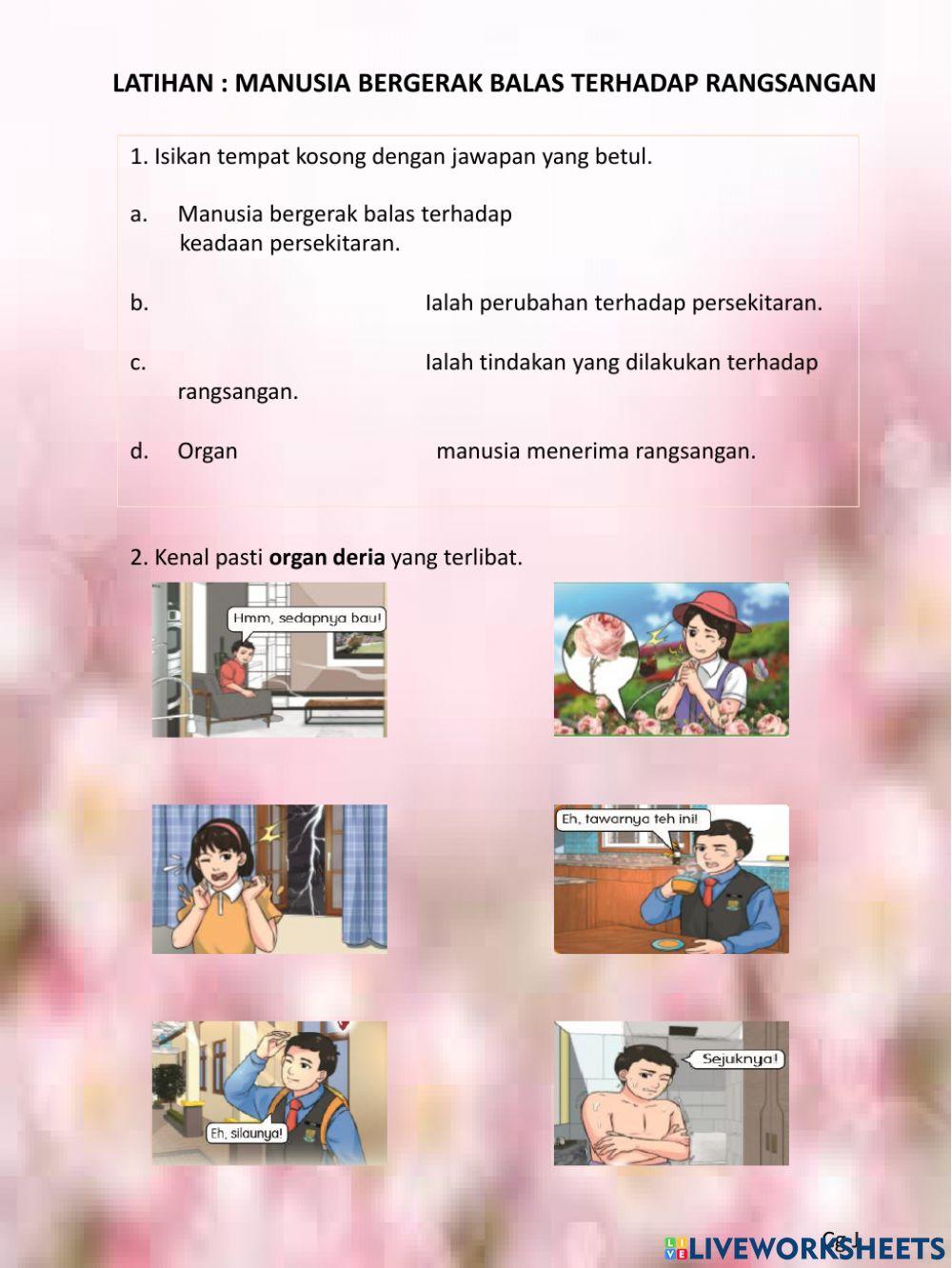 Manusia bergerak balas