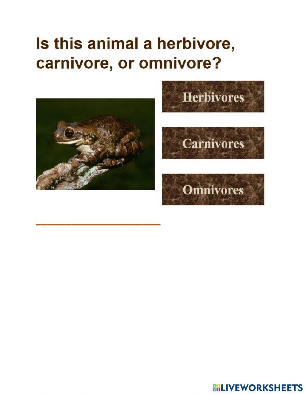 Carnivore herbivore herbivore