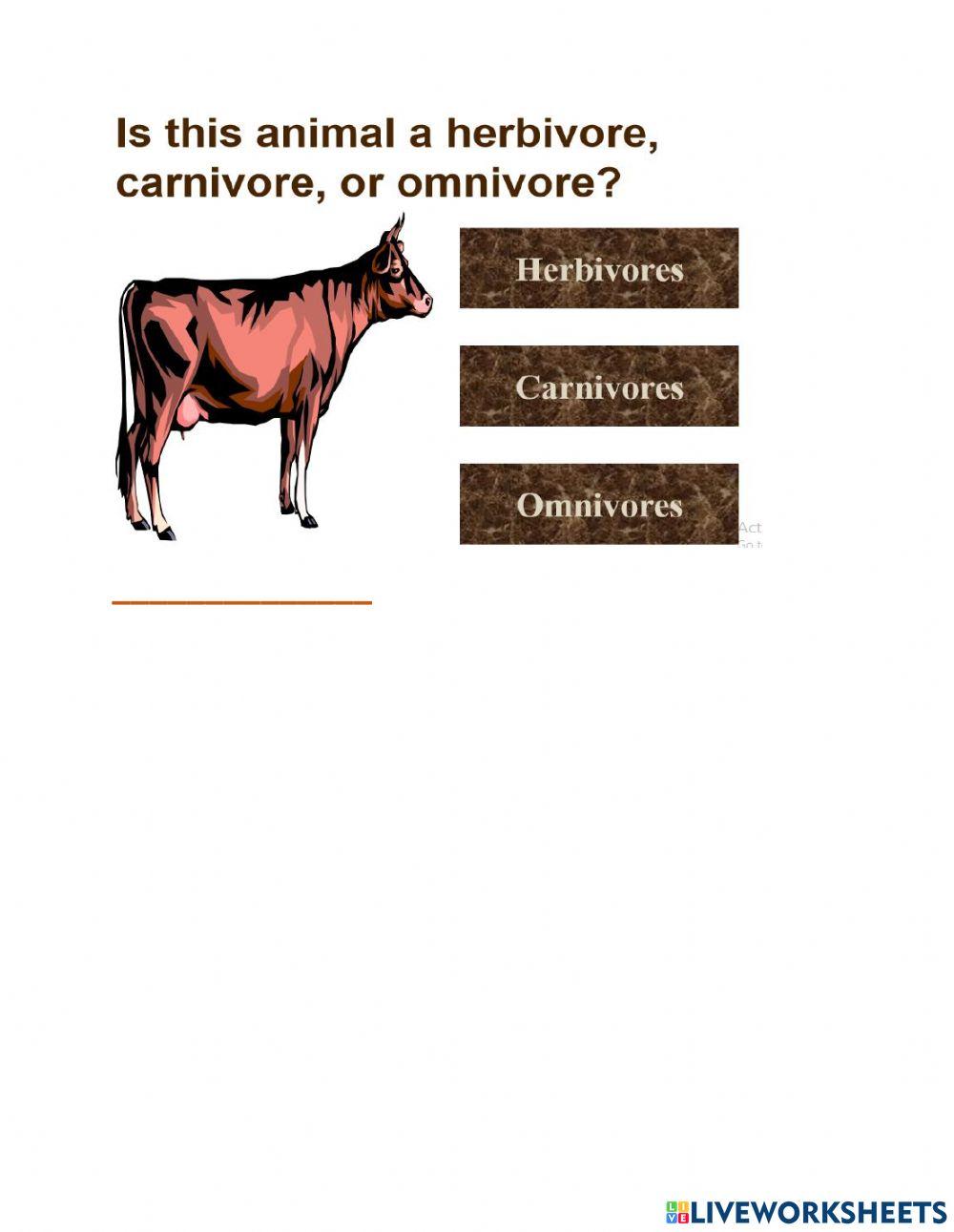 Carnivore herbivore herbivore