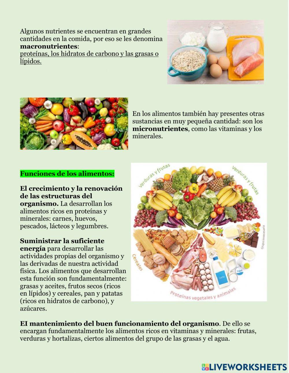 Alimentación saludable