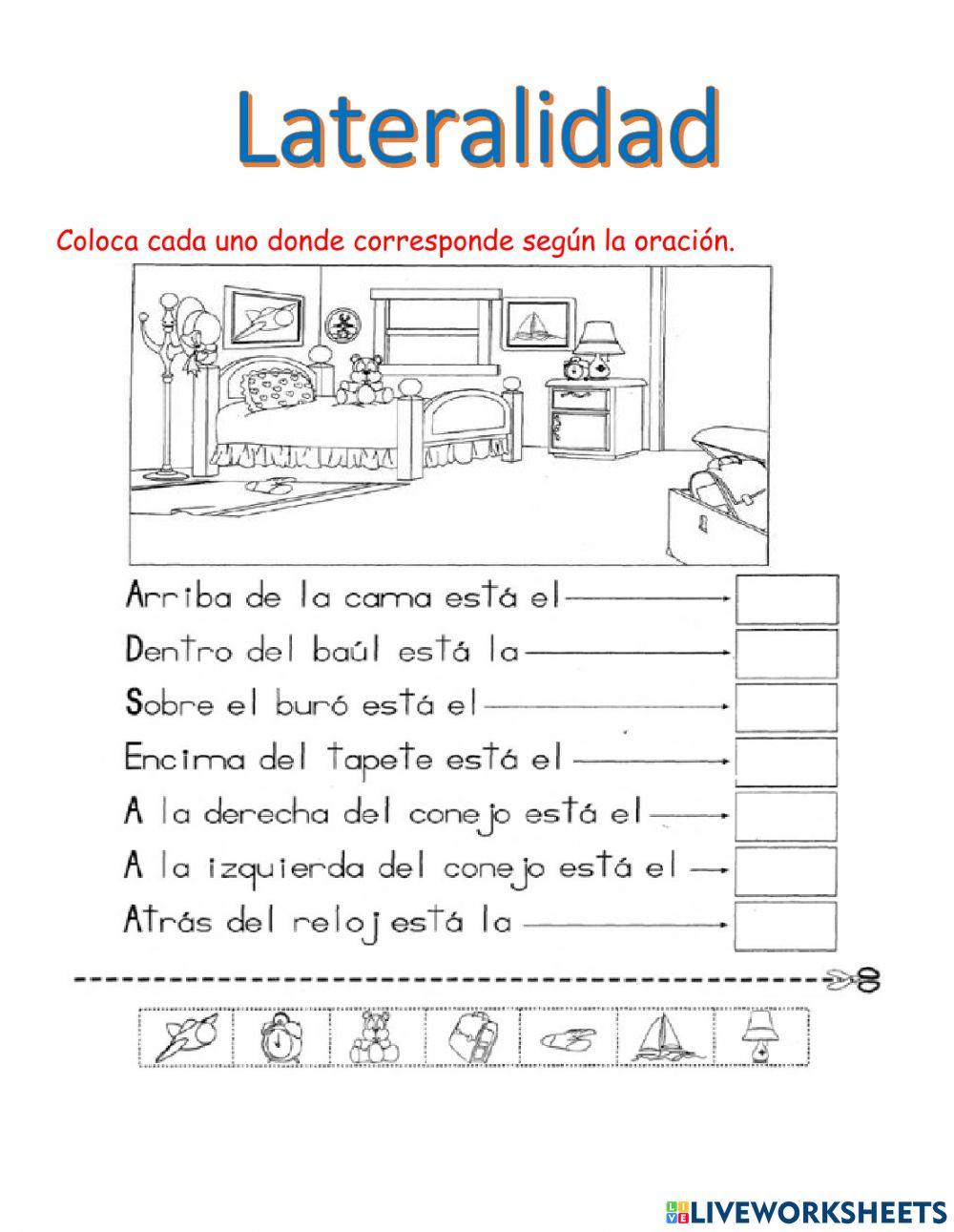 Lateralidad