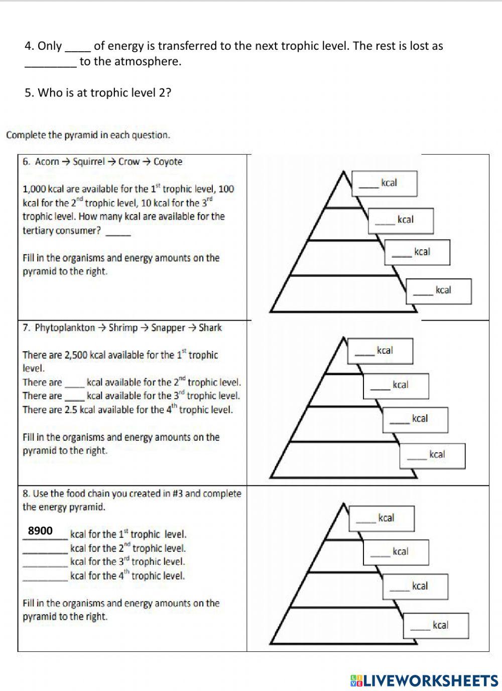 4773941 Energy Pyramid sholguin LiveWorksheets