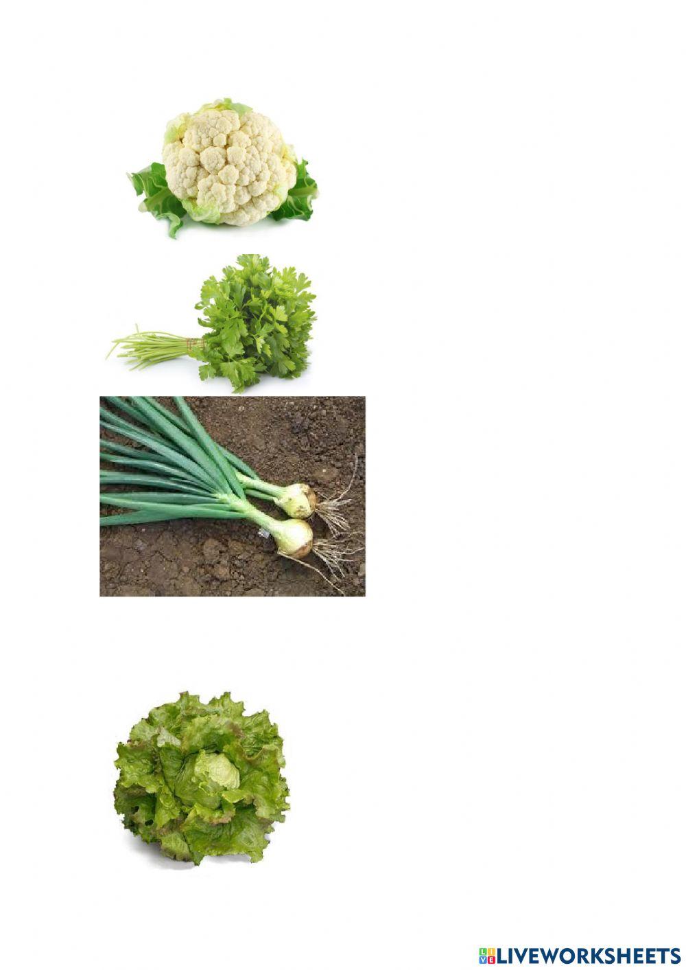 Qué hortalizas son?