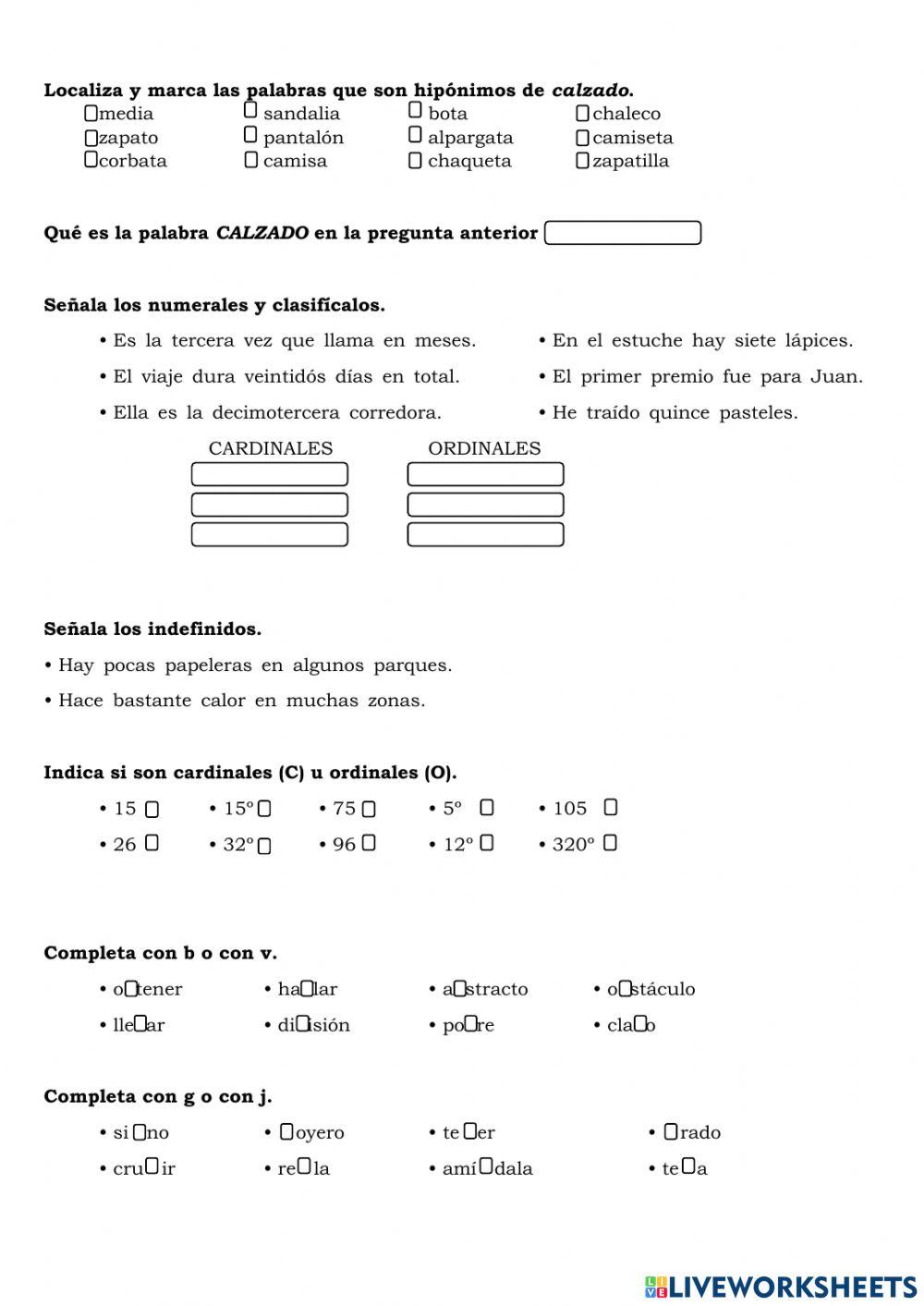 Gramática y Vocabulario