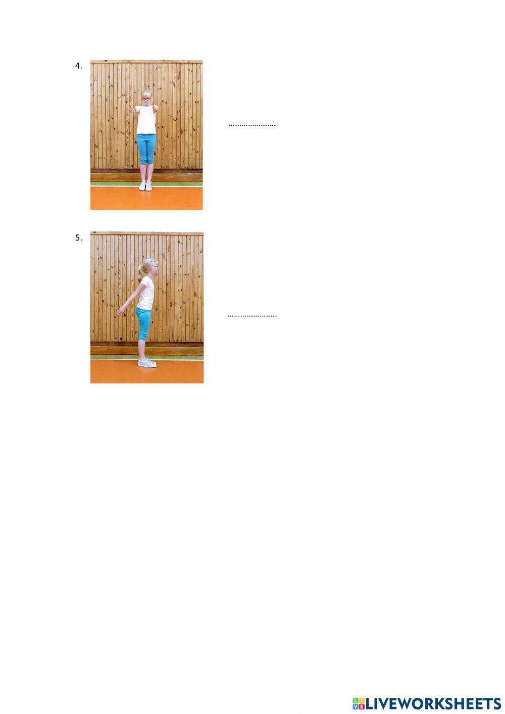 Pracovní list - tělesná výchova a sport