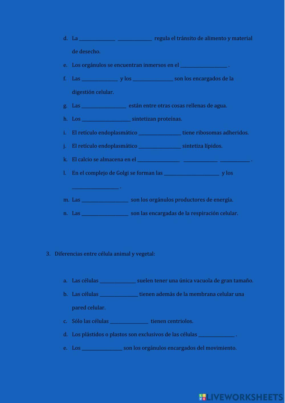 La célula y sus orgánulos