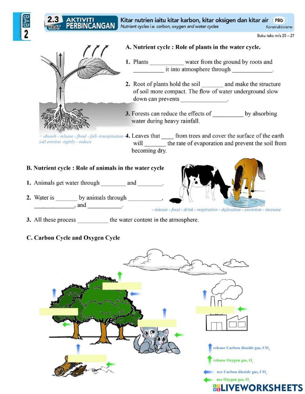 PBD 3 : Ecosystem (2.6 - 2.8)