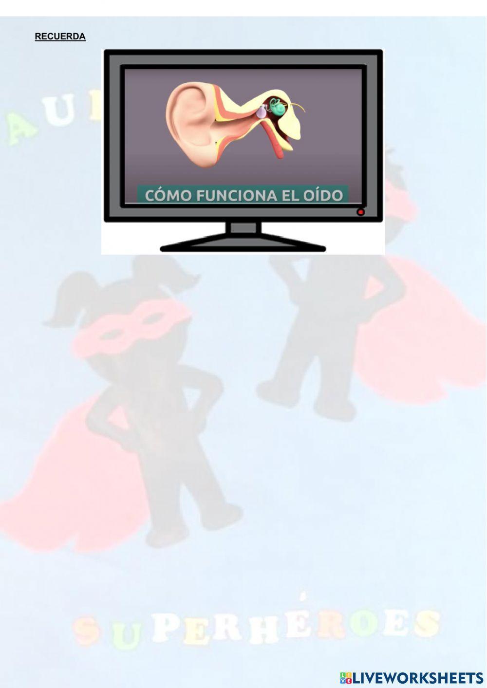 El sentido del oído