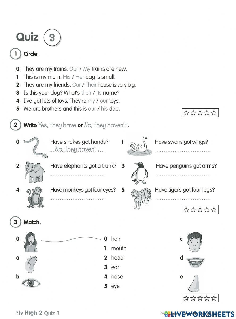 FlyHigh Quiz 3-Form 2
