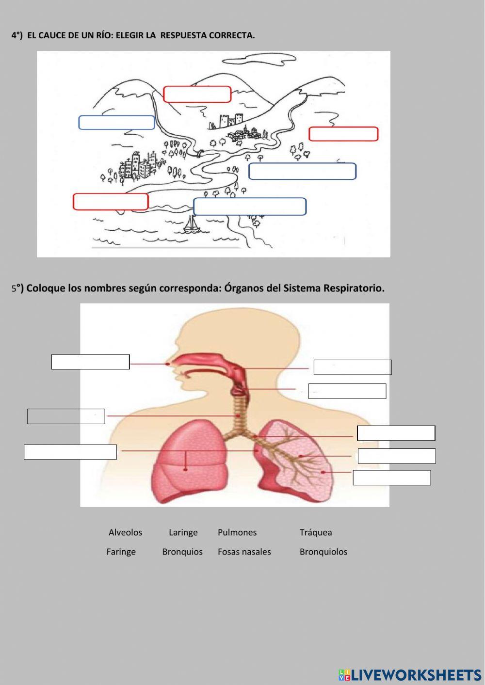 Evaluación de  Ciencias Naturales