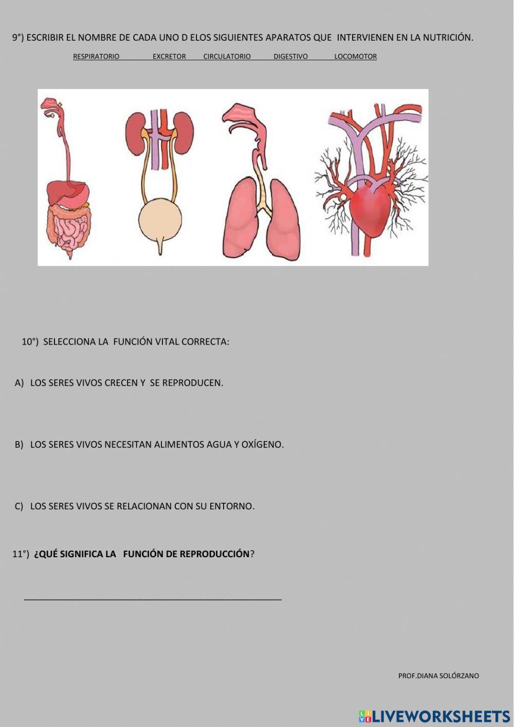 Evaluación de  Ciencias Naturales
