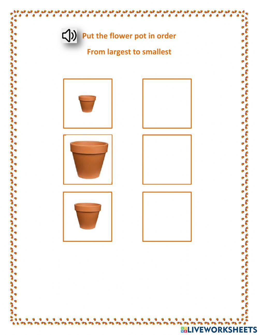 Sequence by size - flower pot - 1.05 Dashly - Neo, DC