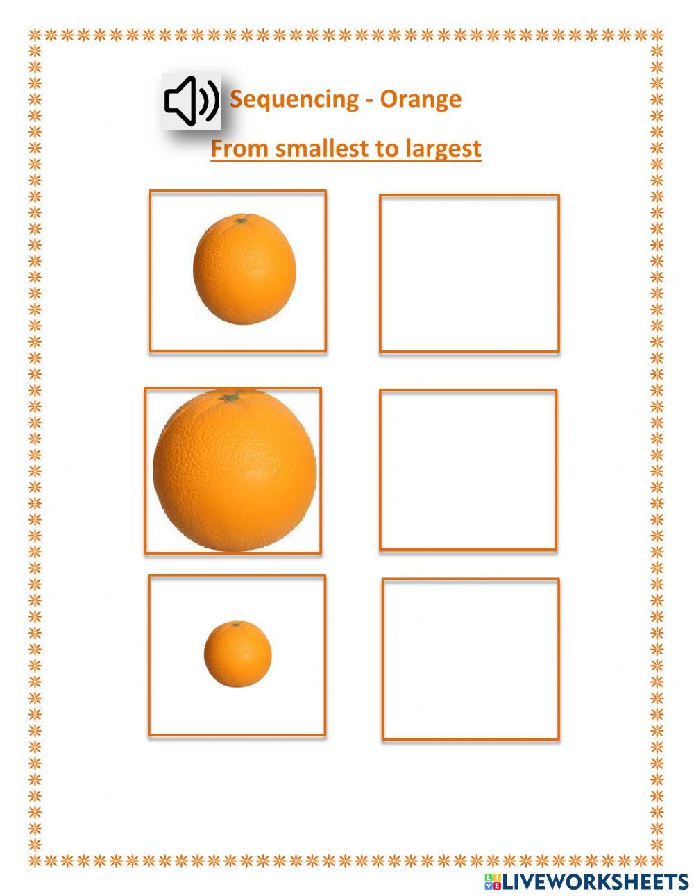 Sequencing - orange - smallest to largest - Dashly, Leo and DC