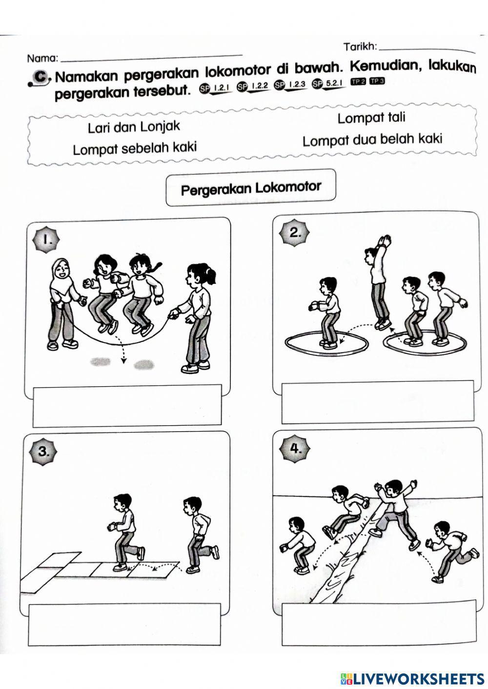 Pergerakan bukan lokomotor