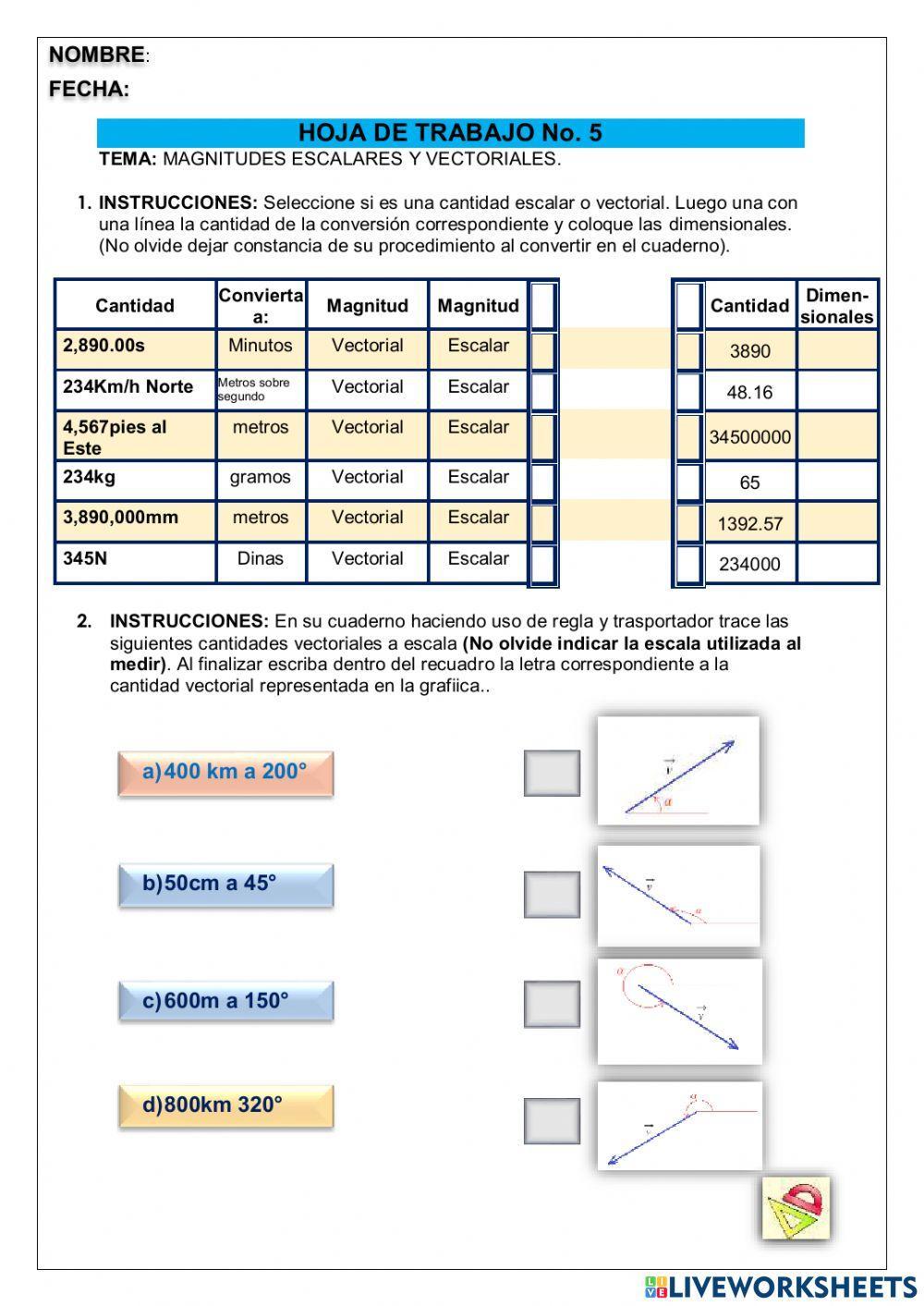 Magnitudes escalares y vectoriales