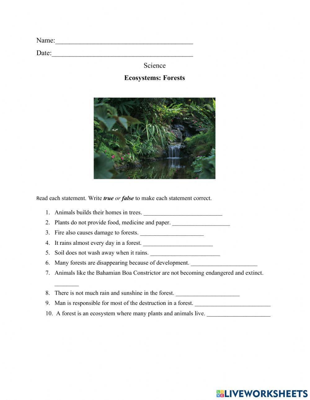 Forests Ecosystems worksheet Live Worksheets