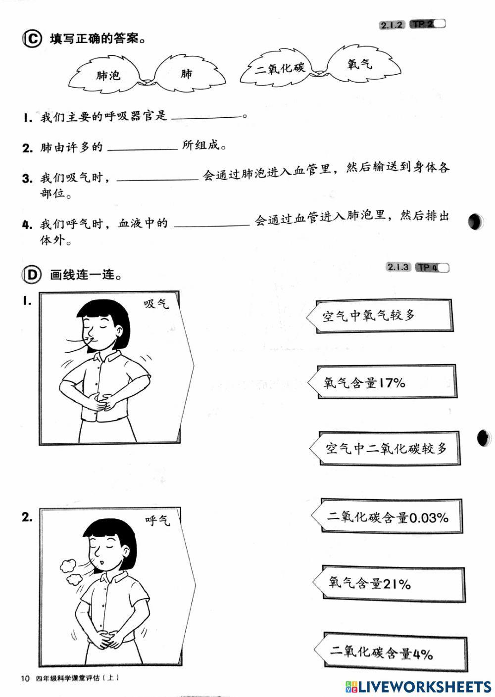 4年级科学（第2课：呼吸）