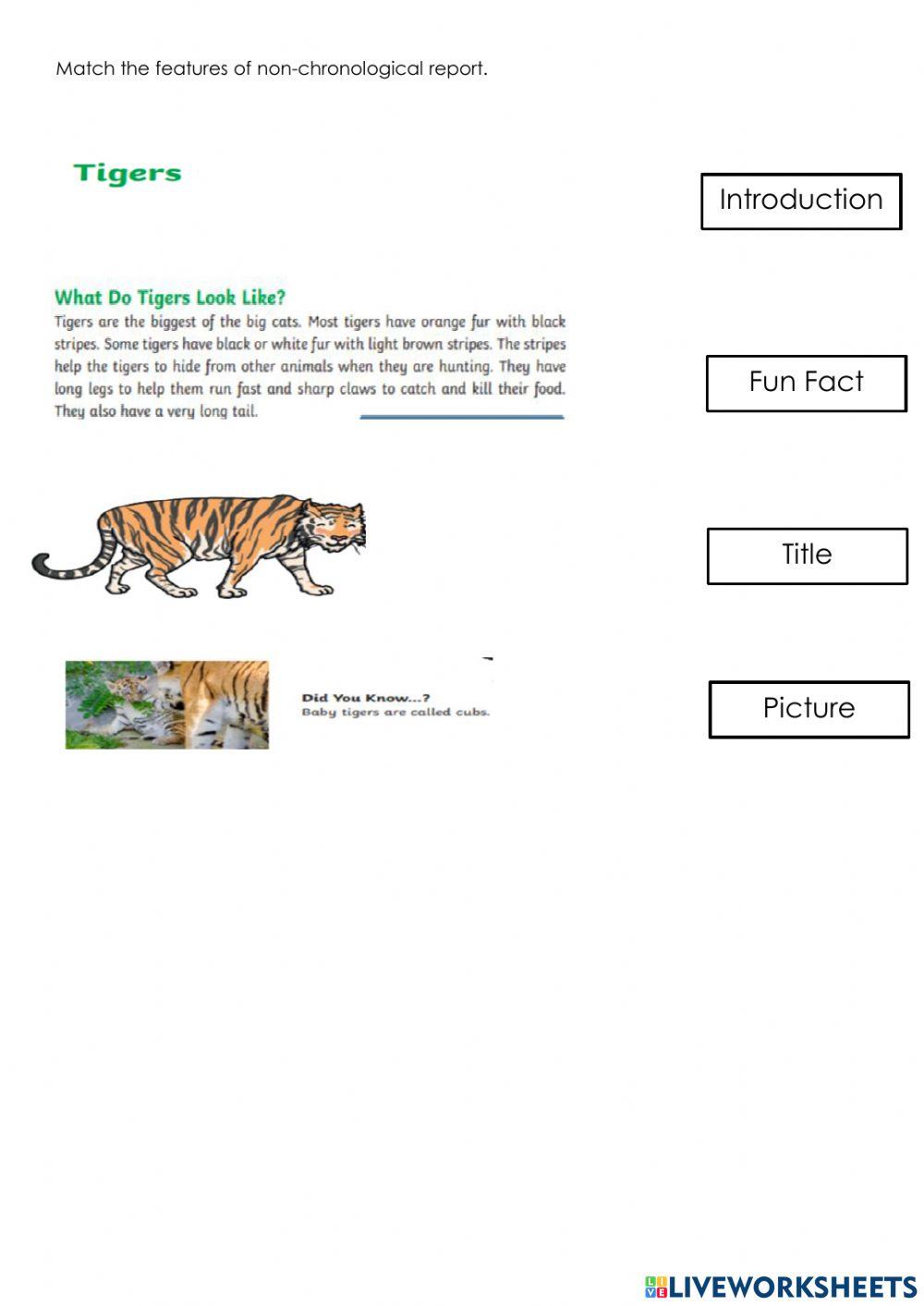 Features of Non Chronological Report Starter