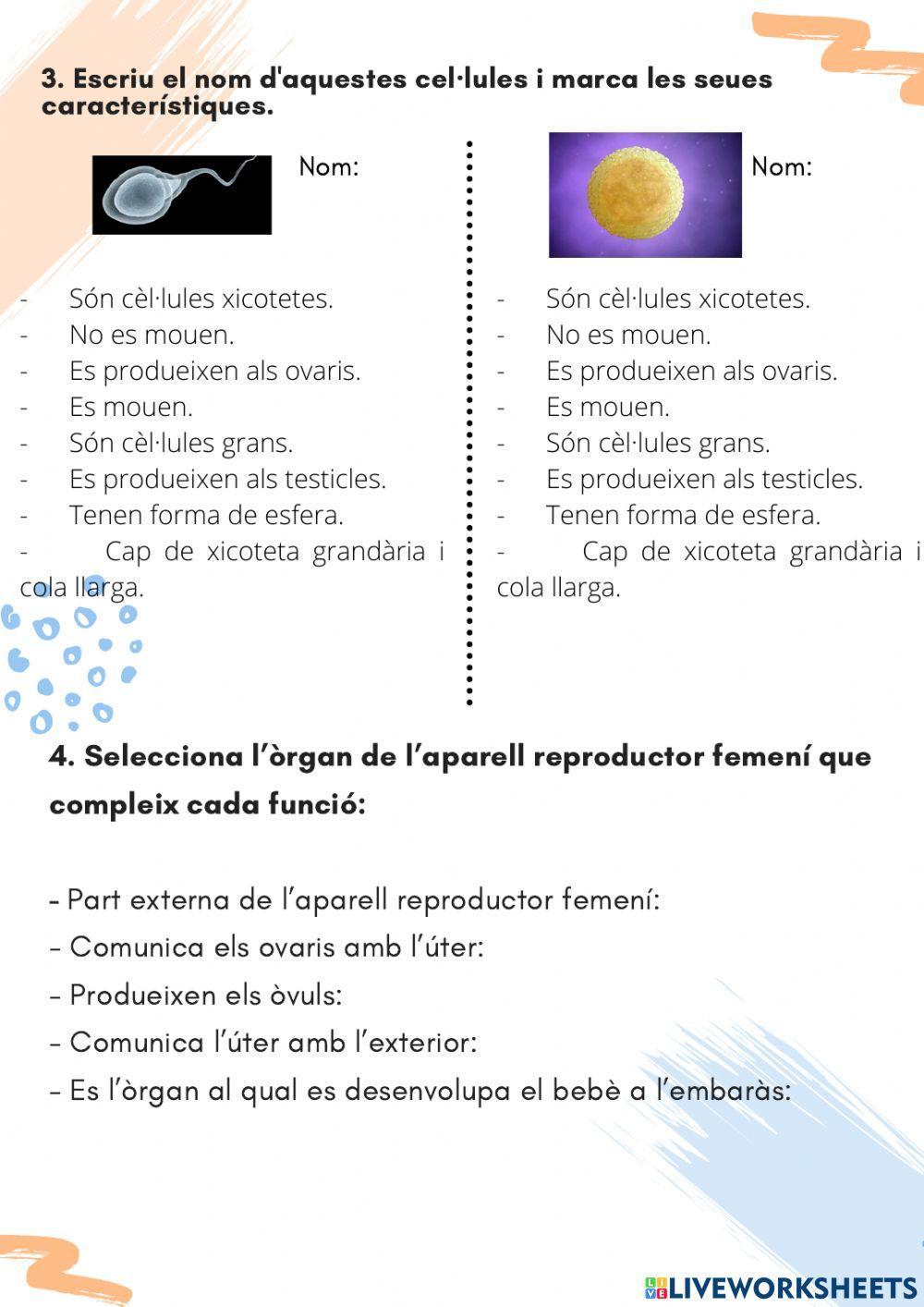 Funció de reproducció