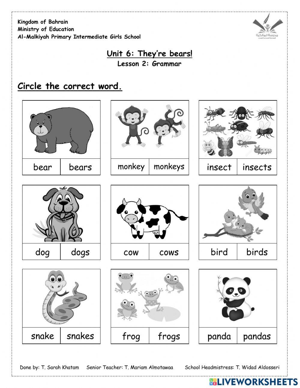 Unit 6: They're bears! Lesson 2