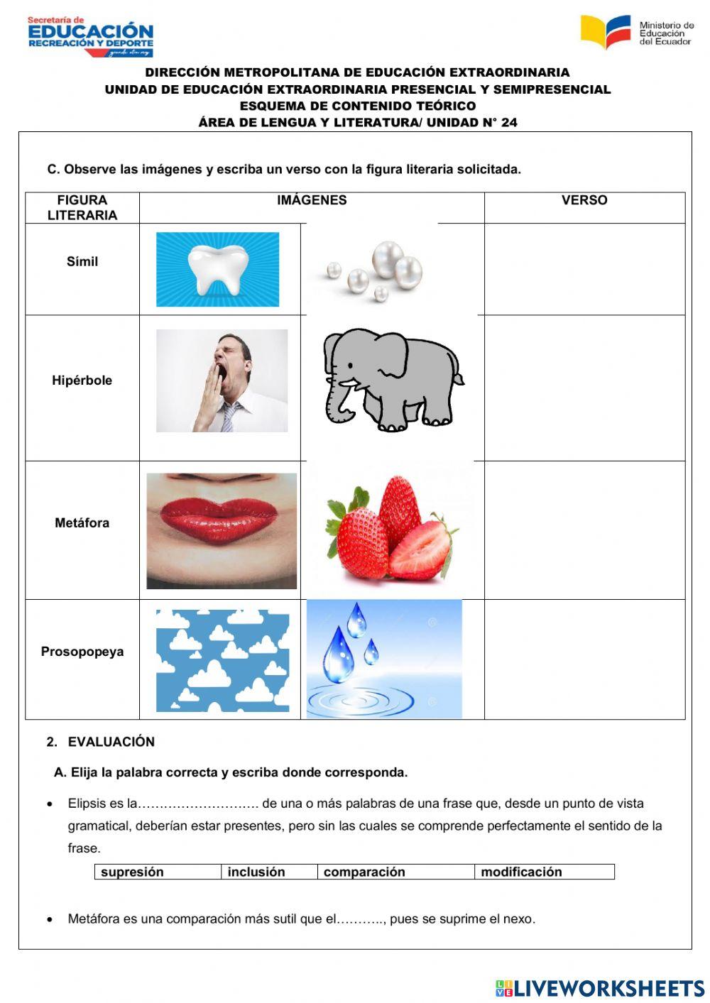Lengua y Literatura Unidad 24