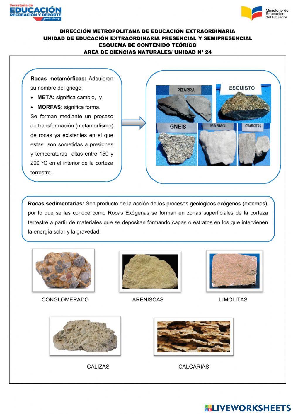 Ciencias Naturales Unidad 24